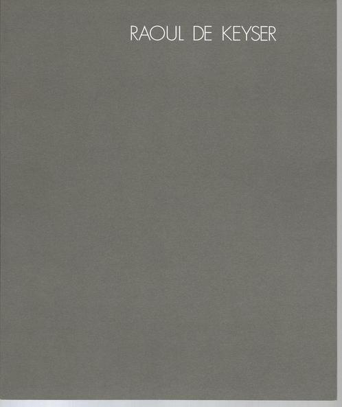 Raoul De Keyser 1990, Boeken, Kunst en Cultuur | Beeldend, Gelezen, Ophalen of Verzenden