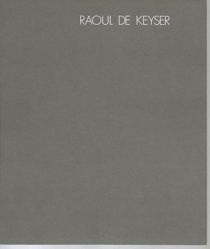 Raoul De Keyser 1990, Boeken, Kunst en Cultuur | Beeldend, Gelezen, Ophalen of Verzenden