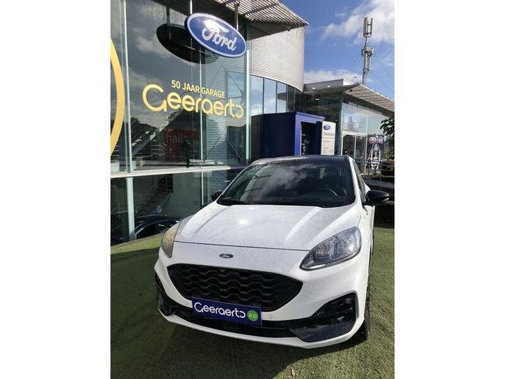 Ford Kuga, Autos, Ford, Entreprise, Achat, Kuga, Hybride Électrique/Essence, Full-hybride, Euro 6, SUV ou Tout-terrain, Automatique