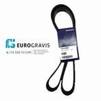 VOLVO FH4 V-Riem 21915556, Motor en Accessoires, -, -, Nieuw