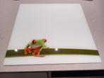 Glazen magneetbord, Huis en Inrichting, Woonaccessoires | Memoborden, Ophalen, Gebruikt, Magneetbord