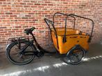 Elektrische bakfiets Vogue, Fietsen en Brommers, Ophalen, Gebruikt