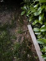 2 Betonnen poutrels met wapeningsnet, Ophalen, Nieuw, Beton