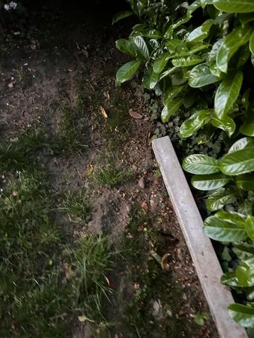 Poutrel en béton avec treillis d'armature, Enlèvement, Neuf, Béton