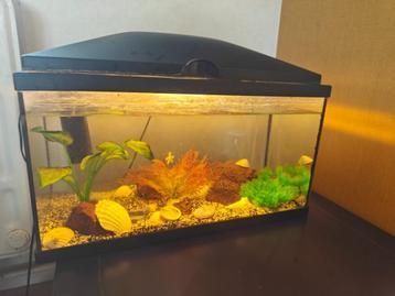 aquarium +- 50l beschikbaar voor biedingen