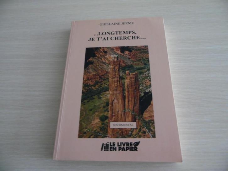 LONGTEMPS, JE T'AI CHERCHÉ       GHISLAINE JERME, Boeken, Romans, Zo goed als nieuw, België, Ophalen of Verzenden