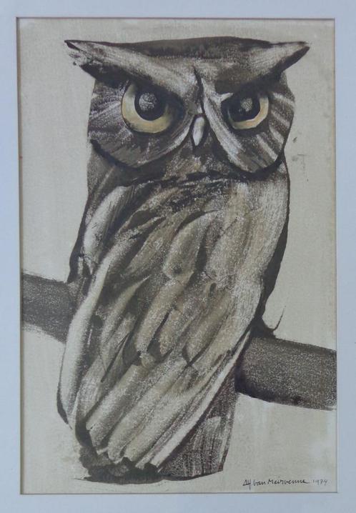 ALFONS VAN MEIRVENNE / UIL / OLIEVERF PAPIER / 70x52cm KADER, Antiek en Kunst, Kunst | Schilderijen | Modern, Ophalen of Verzenden