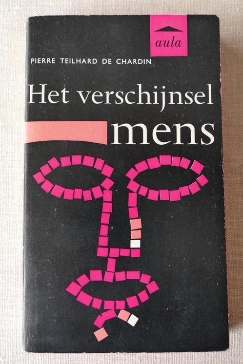 Vijf werken van Teilhard De Chardin en twee essays over hem, Boeken, Wetenschap, Gelezen, Natuurwetenschap, Ophalen of Verzenden
