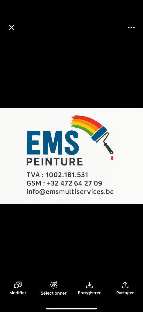 Peintre, Bricolage & Construction, Peinture, Vernis & Laque, Enlèvement