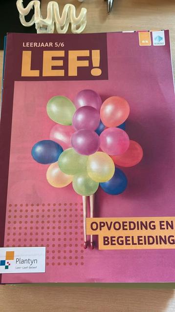 Handleiding LEF! Opvoeding en begeleiding 5/6 beschikbaar voor biedingen