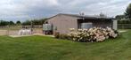 Luxe paardenstallen te huur in Sint-Gillis-Waas, Dieren en Toebehoren, Stalling en Weidegang, Weidegang, 2 of 3 paarden of pony's