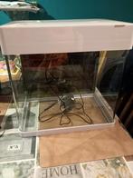 Aquarium superfish 35 liter met toebehoren, Animaux & Accessoires, Poissons | Aquariums & Accessoires, Enlèvement