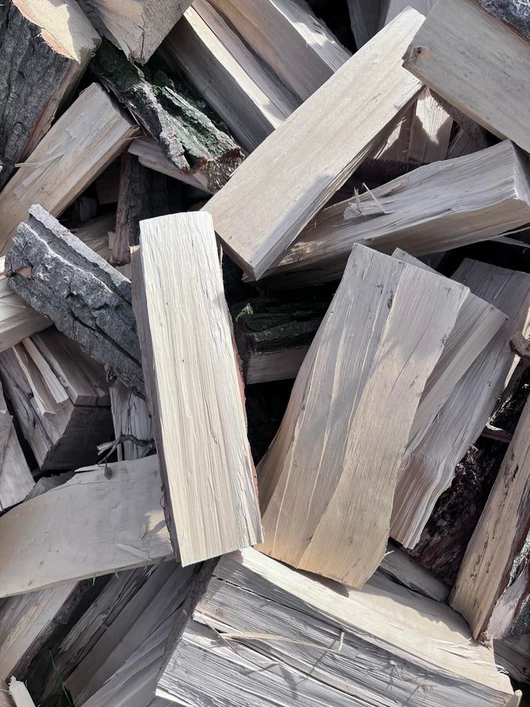 Brandhout populier, Tuin en Terras, Ophalen