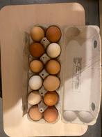 Vrije uitloop eieren, Diversen, Ophalen