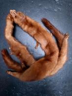 Écharpe en fourrure - vison, Envoi, Comme neuf, Écharpe