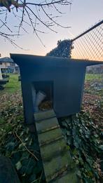 Kippenhok kippenren, Ophalen of Verzenden