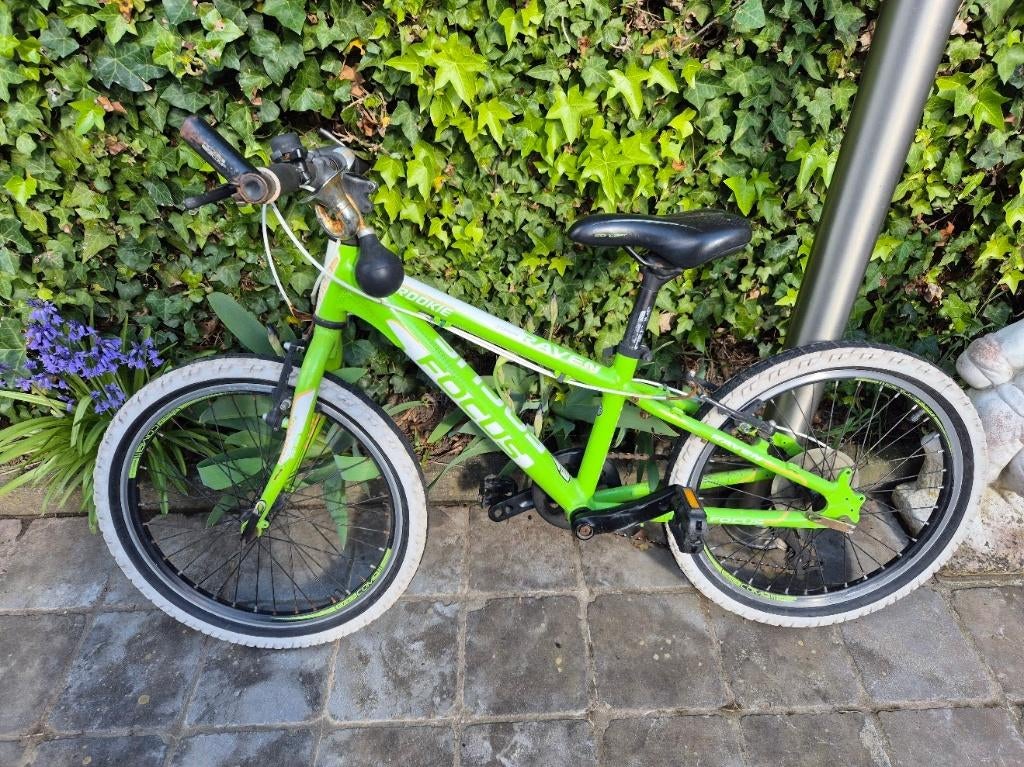 Groene Focus kinderfiets (ca. 20 inch) met stevig frame, Fietsen en Brommers, Ophalen, Gebruikt, 16 tot 20 inch, Focus