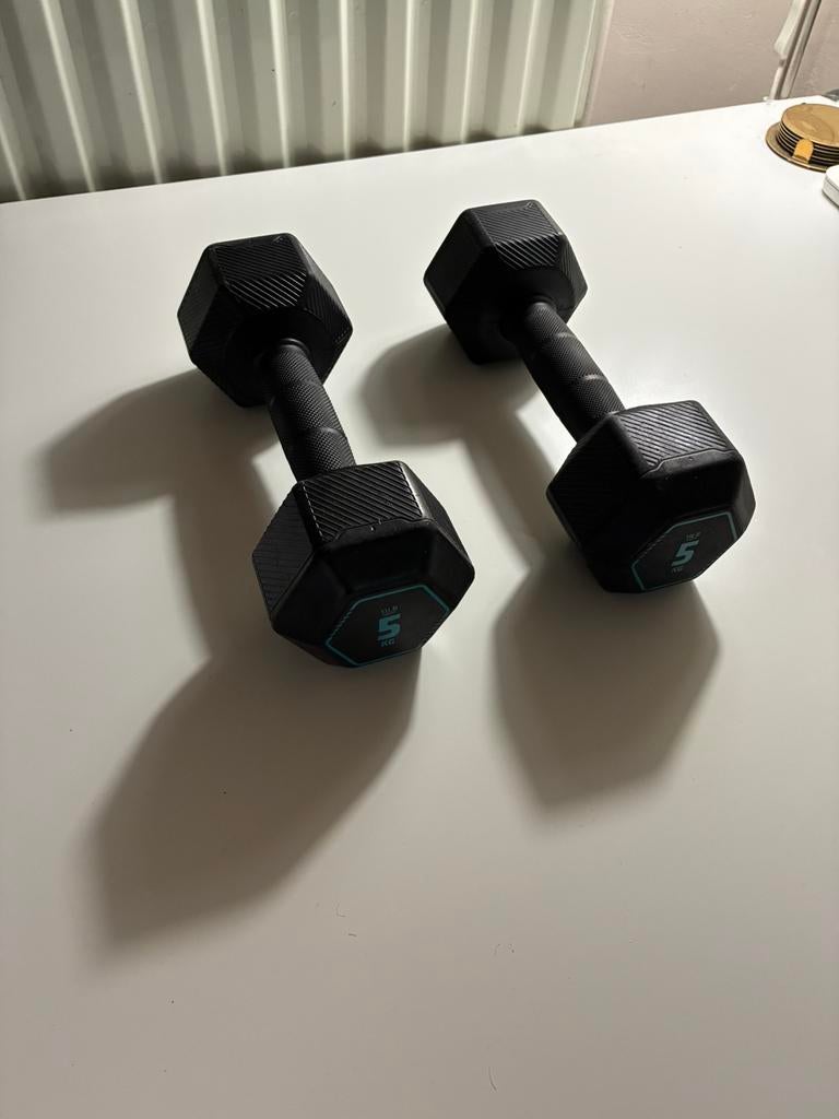 2 halters van 5kg (10kg), Sport en Fitness, Fitnessmaterialen, Ophalen, Zo goed als nieuw, Benen, Dumbbell