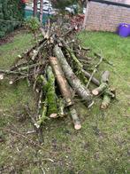 Hout om te geven, Tuin en Terras, Minder dan 3 m³, Ophalen, Eikenhout, Stammen