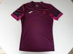 Paars trainingsshirt Anderlecht (Joma, S) (1), Enlèvement ou Envoi, Utilisé, Maillot