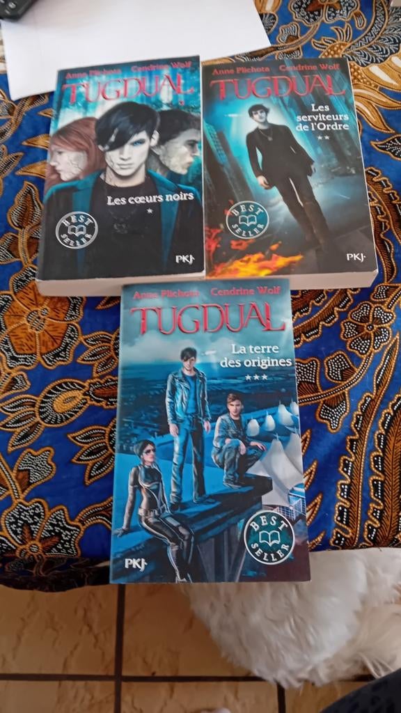 Livres, Livres, Romans historiques, Enlèvement