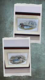 John Gould, Garganey & Teal. 40 x 32. Prix pour le lot, Enlèvement ou Envoi, Utilisé