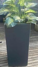 Te koop bloembak op wieltjes 73x30x30 antraciet grijs, Tuin en Terras, Ophalen, Overige materialen, Minder dan 60 cm, Vierkant