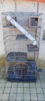 Grote kooi. ( fretten of ratten), Ophalen