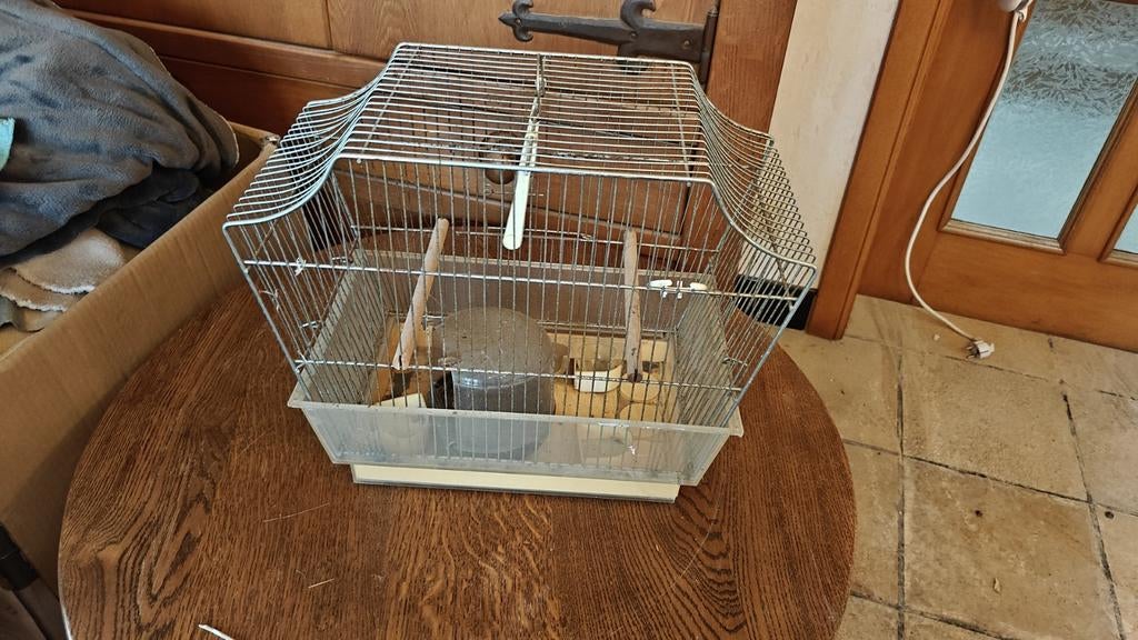 Cage à oiseaux, Enlèvement, Cage à oiseaux