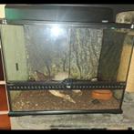 Terrarium te koop, Ophalen