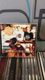 gang starr : moment of truth, CD & DVD, CD | Hip-hop & Rap, Enlèvement ou Envoi, Utilisé