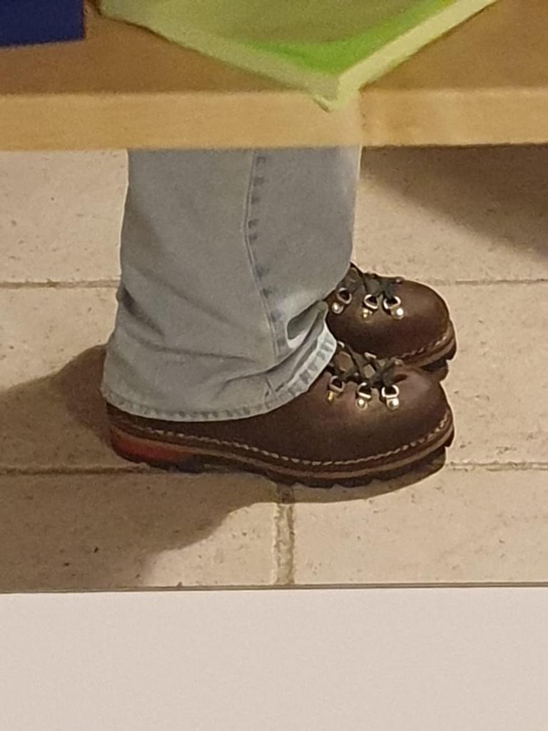 LOWA - wandelschoenen - maat 41,5 - all leather, Bruin, Lowa, Gedragen, Wandelschoenen