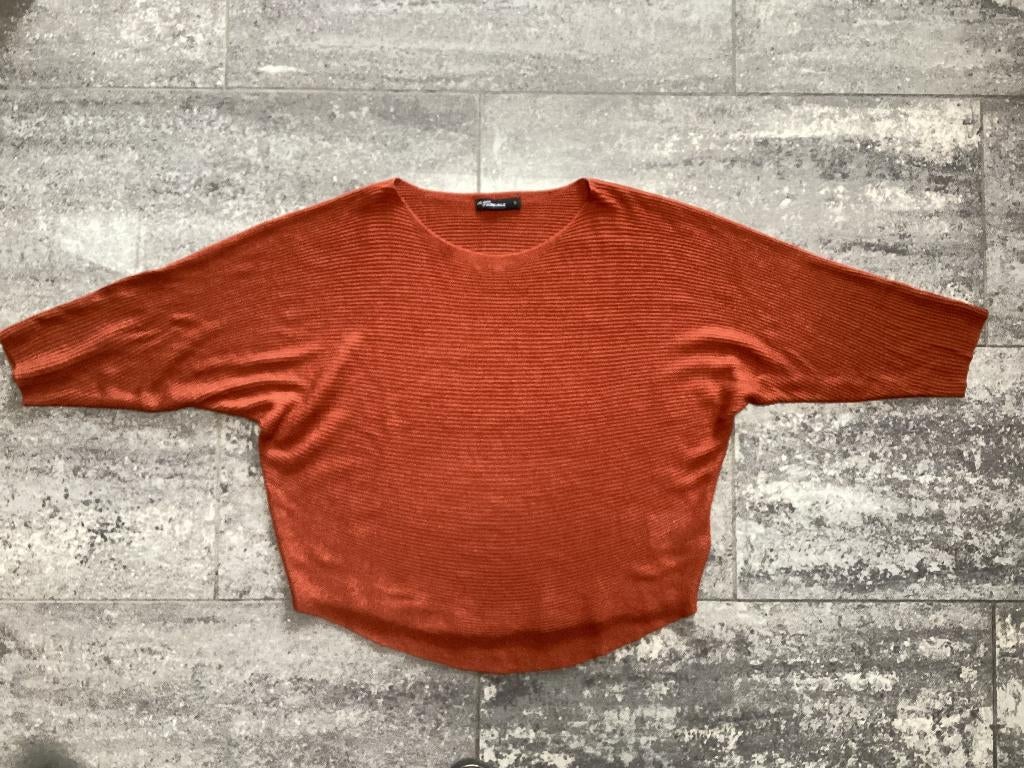 Trui Jean Pascale M/L, Kleding | Dames, Truien en Vesten, Maat 38/40 (M), Overige kleuren, Ophalen of Verzenden, Zo goed als nieuw