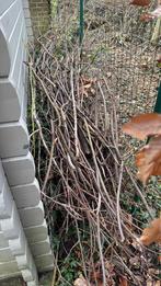 Gratis brandhout / takken – gratis mee te nemen, Ophalen