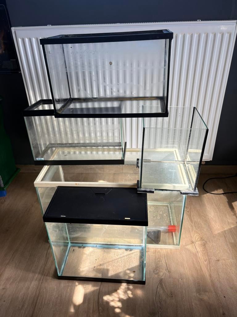5 aquariums + aquariumstofzuiger
