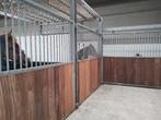 Stal/box voor paard of pony, weide, pension, Dieren en Toebehoren, Stalling en Weidegang, Weidegang
