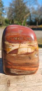 Bois pétrifié, Madagascar, rembourré, naturalia, fossile, Collections, Minéraux & Fossiles, Enlèvement ou Envoi, Fossile