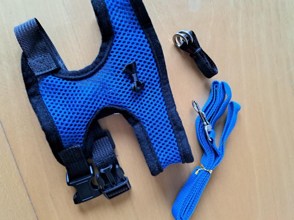 Nieuw - Dierenharnas voor kleine dieren, Animaux & Accessoires, Colliers & Médailles pour chiens, Enlèvement ou Envoi