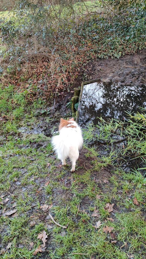 Personne avec permis de conduire ou voiture, Vacatures, Profielen | Man/Vrouw zoekt werk