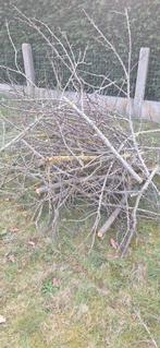 Brandhout en aanmaakhout GRATIS op te halen, Ophalen, Takken