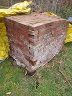 Terca forum pampas, Enlèvement, Comme neuf