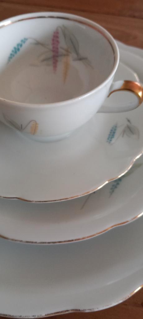 Porseleinen servies Schirnding bavaria, Maison & Meubles, Maison & Meubles | Autre, Utilisé, Enlèvement