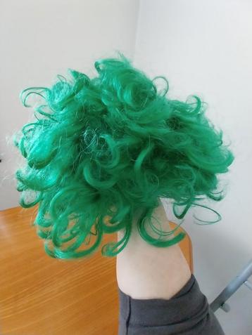 Carnaval met deze paarse en groene pruik beschikbaar voor biedingen