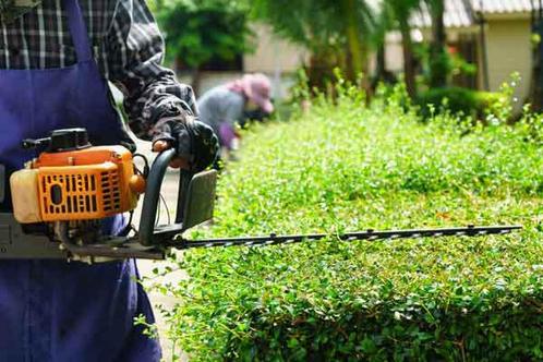 Tuinaanleg onderhoud boomverwijdering, Jardin & Terrasse, Taille-haies, Comme neuf, Enlèvement