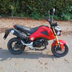 Honda msx 125, Enlèvement