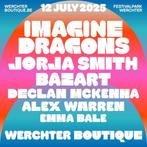 Werchter Boutique 2025 - 1 ticket, Eén persoon