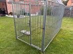 Honden ren, Dieren en Toebehoren, Ophalen, Gebruikt