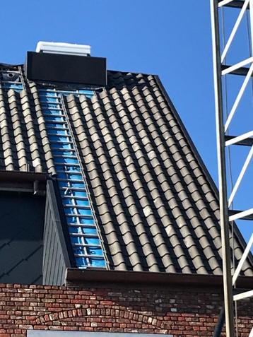Blauw gesmoorde dakpan  beschikbaar voor biedingen