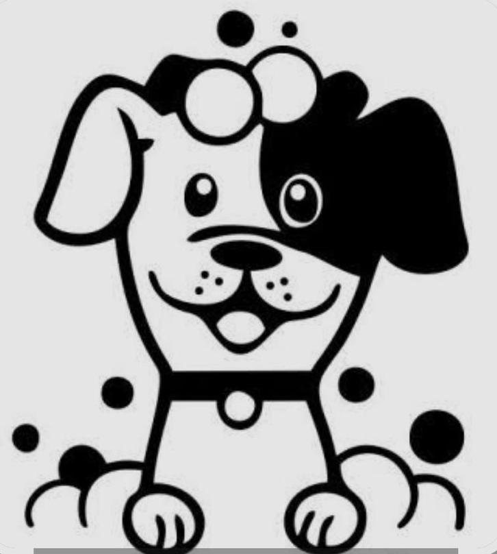 Scheerhonden gezocht doodle, poedels enzv, Dieren en Toebehoren, Honden-accessoires, Ophalen