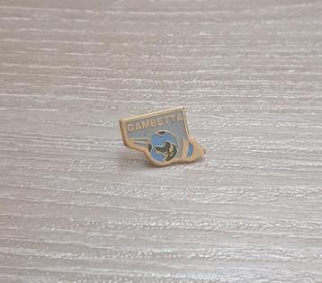 PIN - GAMBETTA beschikbaar voor biedingen